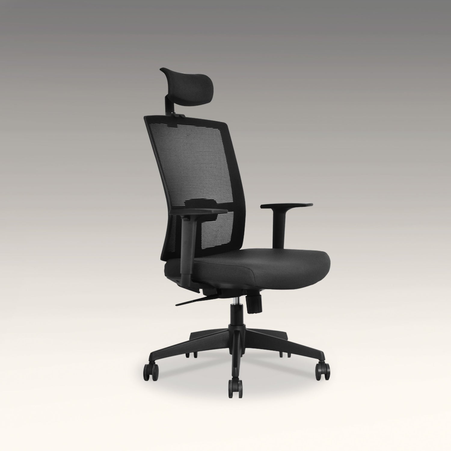 Ergonomic Chairs