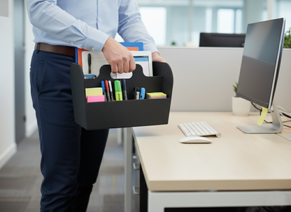 DeskGo Box: Grab & Go Organizer