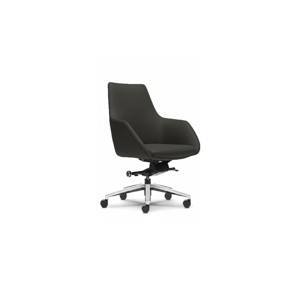Vitaris Executive Series (Low Back)