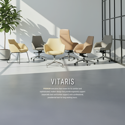 Vitaris Executive Series (Low Back)