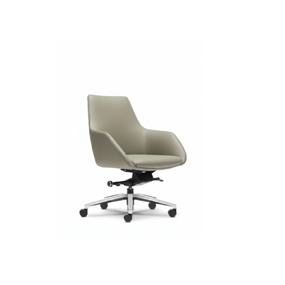 Vitaris Executive Series (Low Back)
