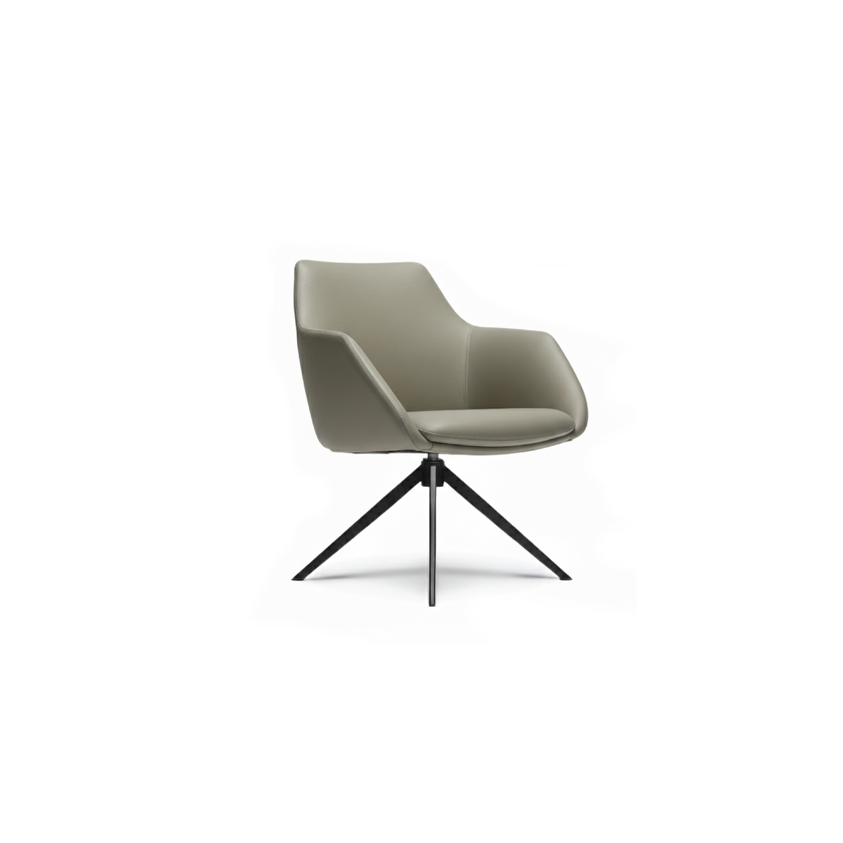 Vitaris Executive Series (Low Back)